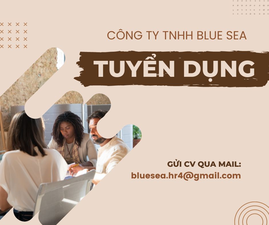 lĩnh vực hoạt động